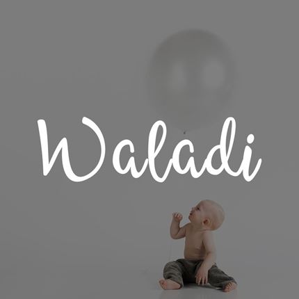 Waladi eCommerce Strategy by Web Bridge